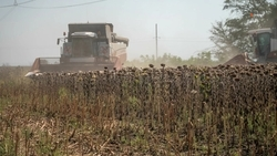 В Ставрополье агрострахование охватывает более 30% посевных площадей