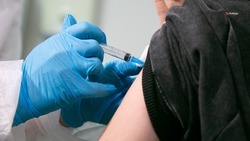 Вакцинацию против гриппа прошли больше 500 тыс. ставропольцев
