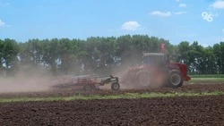 Ставропольские аграрии выполнили график по севу озимых более чем наполовину
