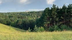 Лесополосы помогают бороться с опустыниванием на Ставрополье