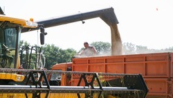 Аграрии Ставрополья собрали свыше 860 тыс. тонн зерна