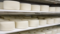 Производство продуктов питания нарастили на Ставрополье на 12%