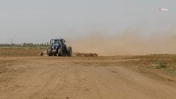 Поддержку по 35 направлениям оказывают аграриям Ставрополья