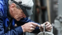 Количество самозанятых на Ставрополье выросло до 93 тыс. благодаря господдержке