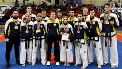Тхэквондисты из Ставрополя завоевали 15 медалей на всероссийском турнире