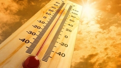 На Ставрополье жара +40 градусов: как спастись от пекла