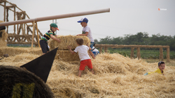 Фермеры Ставрополья могут получить грантовую поддержку на развитие агротуризма