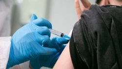 Минздрав Ставрополья: Бороться с аллергией помогает специфическая иммунотерапия